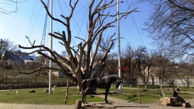 city-location-03